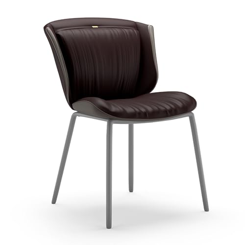 Leichter Luxus-Esszimmerstuhl, Schlichter Moderner Freizeitstuhl mit Rückenlehne, Farblich Abgestimmtes Design, Verbessert das Raumgefühl, Geeignet for Küche, Restaurant, Lounge, Verhandlungsraum(Brow von YZMJXNYY