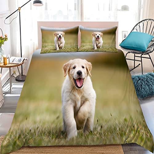 Kinder Bettwäsche Set Heller Golden Retriever Bettwäsche 135x200 cm Jungen Bettbezug für Mädchen Kids Microfaser Himmlische Qualität Betten Set mit 1 Kissenbezug 80x80cm Einzelbett 2 von YZQGLHP