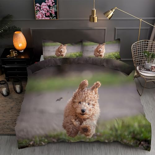 YZQGLHP Bettwäsche 200x200 Welpe Bettbezug Set für Kinder Jungen Mädchen Weich Atmungsaktiv Microfaser Betten Set mit Reißverschluss und 2 Kissenbezug 80x80 cm YZQGLHP Bettwäsche 200x200 Welpe Bettbezug Set für Kinder Jungen Mädchen Weich Atmungsaktiv Microfaser Betten Set mit Reißverschluss und 2 Kissenbezug 80x80 cm von YZQGLHP