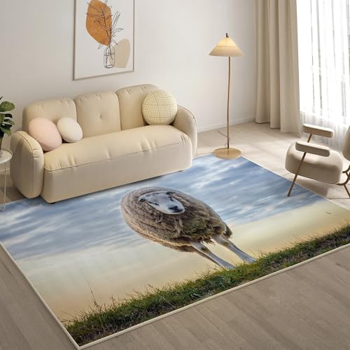 YZQGLHP Blauer Himmel Teppich Merino Teppiche, Weich Kurzflor & Waschbar & rutschfest Fussmatte Innen, Easy Clean Teppichs 60x90 cm fürs Wohnzimmer, Schlafzimmer und Esszimmer von YZQGLHP