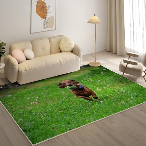 YZQGLHP Dackel Teppich Rasen Teppiche, Weich Kurzflor & Waschbar & rutschfest Fussmatte Innen, Easy Clean Teppichs 200x200 cm fürs Wohnzimmer, Schlafzimmer und Esszimmer von YZQGLHP
