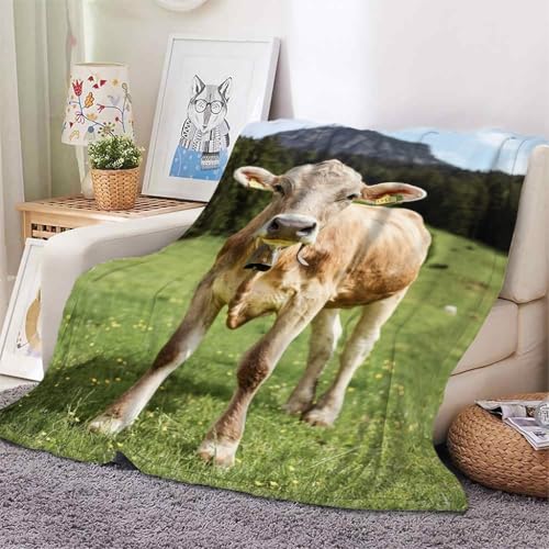 YZQGLHP Decke Braune Kuh Kuscheldecke Grasland Decken Weiche Ueberwurfdecke 100x130 cm Flauschig Flanell Wohndecke als Sofadecke Reisedecke Ganzjahresdecke von YZQGLHP