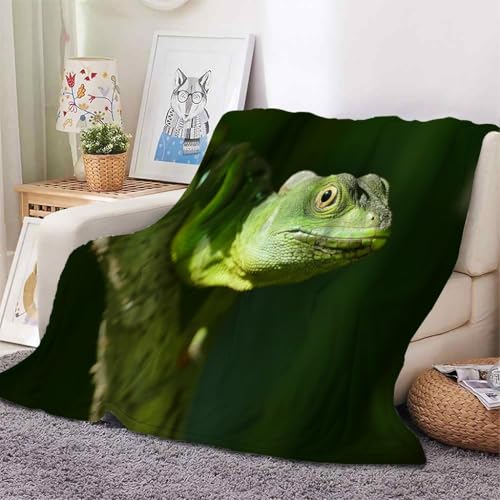 YZQGLHP Decke Eidechse Kuscheldecke GrüNer Wald Decken Weiche Ueberwurfdecke 150x200 cm Flauschig Flanell Wohndecke als Sofadecke Reisedecke Ganzjahresdecke von YZQGLHP