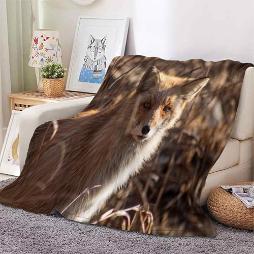 YZQGLHP Decke GrasbüSchel Kuscheldecke Rotfuchs Decken Weiche Ueberwurfdecke 130x150 cm Flauschig Flanell Wohndecke als Sofadecke Reisedecke Ganzjahresdecke von YZQGLHP