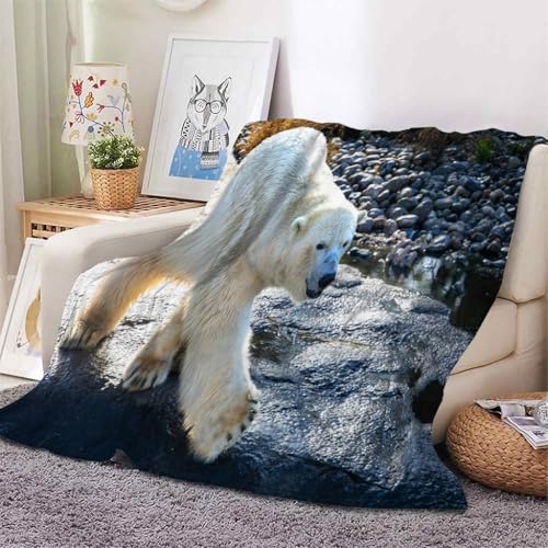 YZQGLHP Decke Stein Kuscheldecke EisbäR Decken Weiche Ueberwurfdecke 150x200 cm Flauschig Flanell Wohndecke als Sofadecke Reisedecke Ganzjahresdecke von YZQGLHP