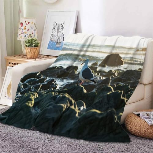 YZQGLHP Decke Steine Kuscheldecke MöWe Decken Weiche Ueberwurfdecke 130x150 cm Flauschig Flanell Wohndecke als Sofadecke Reisedecke Ganzjahresdecke von YZQGLHP