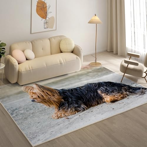 YZQGLHP Der Weg Teppich Silky Terrier Teppiche, Weich Kurzflor & Waschbar & rutschfest Fussmatte Innen, Easy Clean Teppichs 120x180 cm fürs Wohnzimmer, Schlafzimmer und Esszimmer von YZQGLHP