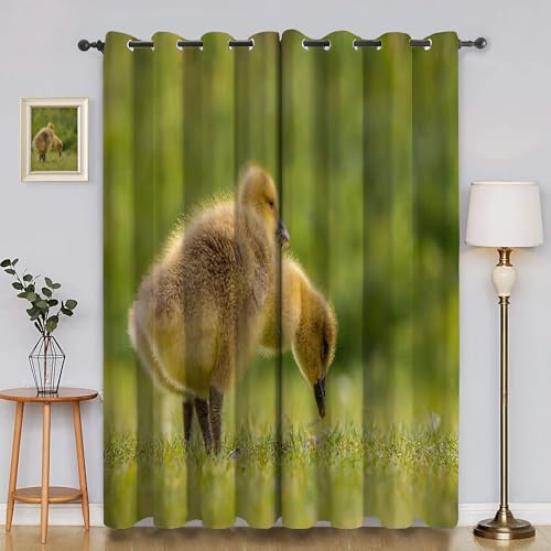 YZQGLHP Ente Vorhänge, Tiermuster Gardinen, Verdunklungsvorhänge, Schallschutz Vorhang, für Sichtschutz im Wohn und Schlafzimmer, B140 X H225 cm (2er-Pack) von YZQGLHP