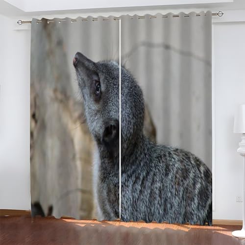 YZQGLHP Erdmännchen Vorhänge, Tiere Gardinen, Verdunklungsvorhänge, Schallschutz Vorhang, für Sichtschutz im Wohn und Schlafzimmer, B117 x H183 cm (2er-Pack) von YZQGLHP