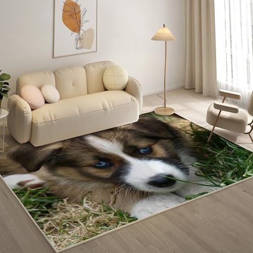 YZQGLHP Gras Teppich Hund Teppiche, Weich Kurzflor & Waschbar & rutschfest Fussmatte Innen, Easy Clean Teppichs 60x90 cm fürs Wohnzimmer, Schlafzimmer und Esszimmer von YZQGLHP