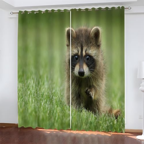 YZQGLHP Grauer Waschbär Vorhänge, Tiere Gardinen, Verdunklungsvorhänge, Schallschutz Vorhang, für Sichtschutz im Wohn und Schlafzimmer, B117 x H137 cm (2er-Pack) von YZQGLHP