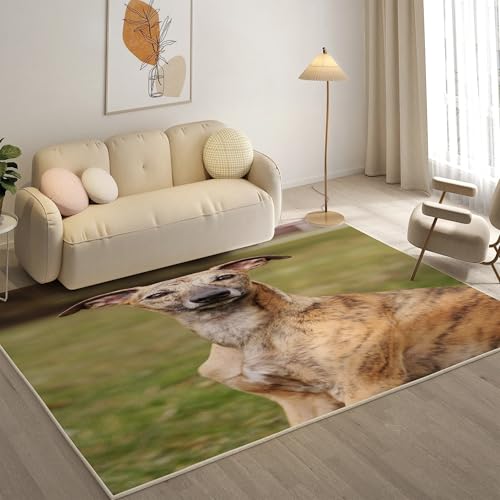 YZQGLHP Whippet Teppich Wiese Teppiche, Weich Kurzflor & Waschbar & rutschfest Fussmatte Innen, Easy Clean Teppichs 140x200 cm fürs Wohnzimmer, Schlafzimmer und Esszimmer von YZQGLHP