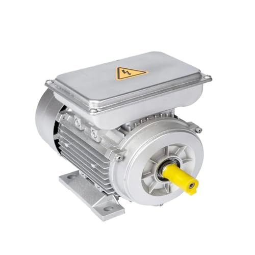 Einphasiger Asynchronmotor 750 W 220 V AC Elektromotor Hohes Drehmoment Permanentmagnetmotoren Haushalt Bauernhof(550W 2800rpm) von YZQOZKJH