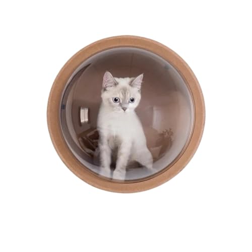 Transparentes Acryl-Hundezaunfenster 32cm Transparent Katze Nest DIY for Zaun Pet Look Out Durable Dome Acryl Blatt GlassHemisphärischen Fenster Geschenk(1pc-White washers) von YZWHKJ