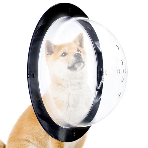 Transparentes Acryl-Hundezaunfenster Hundefenster for Zaun Bullauge Fenster Haustier Acryl Kuppel Hundezaun Haustierbedarf Klare Sicht Haustierfenster Transparentes Acryl-Hundezaunfenster Hundefenster for Zaun Bullauge Fenster Haustier Acryl Kuppel Hundezaun Haustierbedarf Klare Sicht Haustierfenster von YZWHKJ