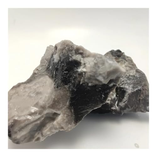 YZWRWRMKTB 100g 2-4cm Shellstone Raw Stone Home Decoration Stone von YZWRWRMKTB