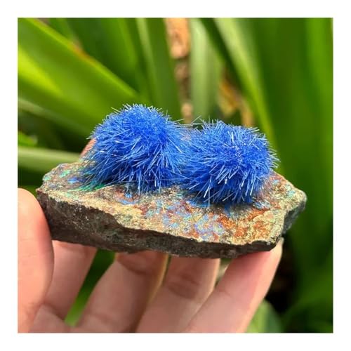 YZWRWRMKTB 1pc 50-100g Zeolite Stone Quartz Cluster Crystal Cluster YZWRWRMKTB 1pc 50-100g Zeolite Stone Quartz Cluster Crystal Cluster von YZWRWRMKTB