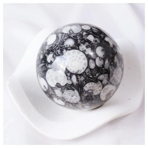 YZWRWRMKTB 1pcs 6.5-7cm Nature Shell Jasper Sphere Crystal Jade Ammonite von YZWRWRMKTB