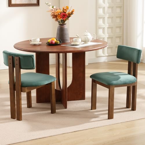 Ya-Home Esszimmerstühle 2er Set Samt Vintage Seitenstühle Holz Esstischstühle Küchenstühle ohne Armlehne für Wohnzimmer/Schlafzimmer/Küche, Grün von Ya-Home