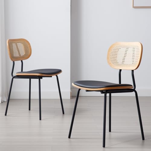 Ya-Home Rattan Esszimmerstühle 2er Set Rattanstuhl mit Metallbeinen Küchenstuhl aus Kunstleder Polsterstuhl für Esszimmer, Schwarz von Ya-Home