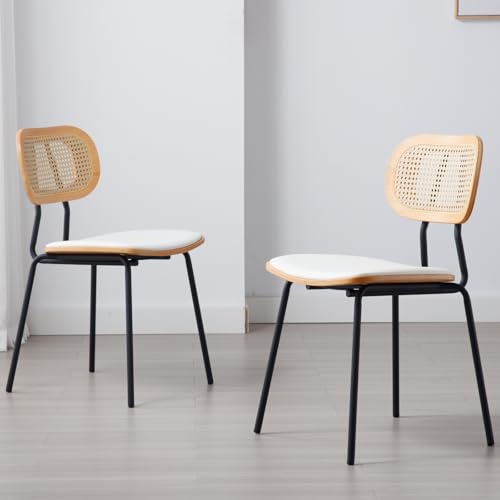 Ya-Home Rattan Esszimmerstühle 2er Set Rattanstuhl mit Metallbeinen Küchenstuhl aus Kunstleder Polsterstuhl für Esszimmer, Weiß von Ya-Home
