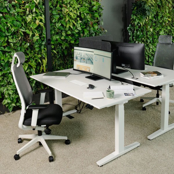 BUNDLE: Yaasa Desk Expert und Chair Expert | weiß von Yaasa