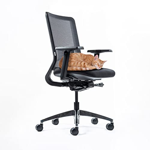 Yaasa Chair Classic Ergonomischer Bürostuhl gegen Rückenschmerzen | integrierte Lordosenstütze | 3D-Armlehnen und Einstellung der Sitztiefe | Traglast 130kg | 5 Jahre Garantie (Schwarz) von Yaasa