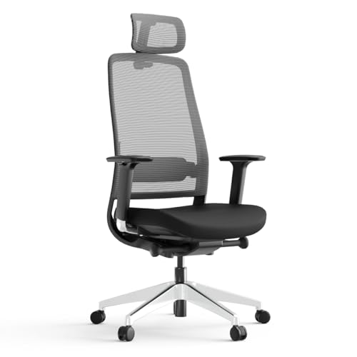 Yaasa Chair Expert Ergonomischer Bürostuhl mit Kopfstütze | gepolsterte Lordosenstütze und Rückenlehne mit Wippfunktion | 4D-Armlehnen | Traglast 130 kg | Schwarz von Yaasa