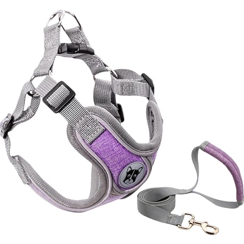 Yagerod Dog Harness, No Pull Dog Harness, Stylish and Safe Pet Harness with Leash for Small Dogs（with 1.5m Special Traction Rope (Purple (with 1.5m Special Traction Rope), XS) von Yagerod