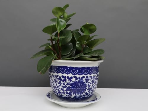 Yajutang China Porzellan Blumentopf Blau-Weiß Lotusblumen Ø 20cm von Yajutang