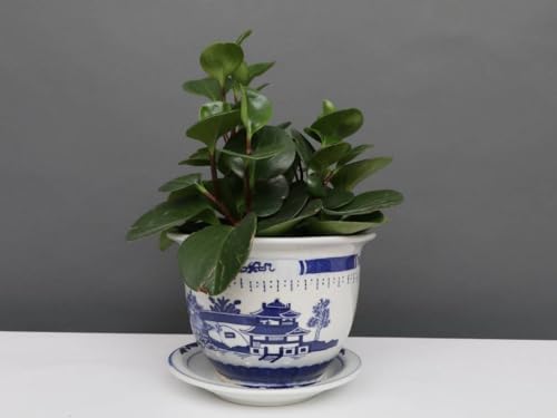 Yajutang China Porzellan Blumentopf Blau-Weiß mit Landschaft Ø 29cm … von Yajutang