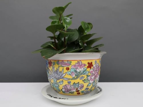 Yajutang China Porzellan Blumentopf Gelb mit bunten Blumen Ø 23cm … von Yajutang