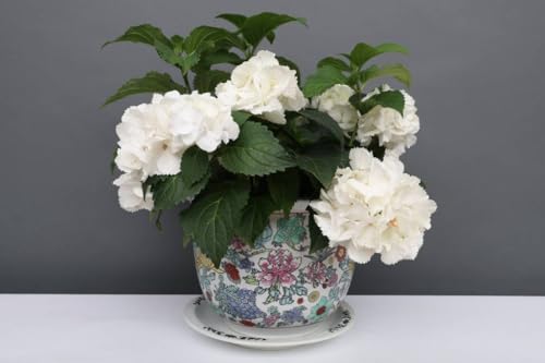 Yajutang China Porzellan Blumentopf Weiß mit bunten Blumen Ø 29cm … von Yajutang