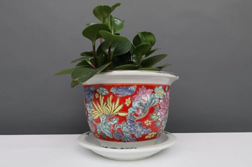 Yajutang Porzellan Blumentopf rot Bunte Blumen Ø 19 von Yajutang