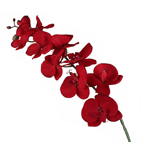 Yalulu 2 Stück Orchidee Künstliche Simulation Schmetterling Orchideen Blüte Blumen Hochzeit Haus Partei Home Deko (Rot) von Yalulu