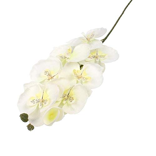 Yalulu 2 Stück Orchidee Künstliche Simulation Schmetterling Orchideen Blüte Blumen Hochzeit Haus Partei Home Deko (Weiß) von Yalulu