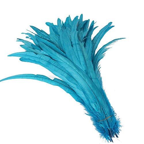 Yalulu 20 Stück 30-35 cm Größere Natur Feder Hahn Feder Fasan Hahnfeder Federn zum Basteln Kopfschmuck Schmucksfedern DIY (Blau) von Yalulu