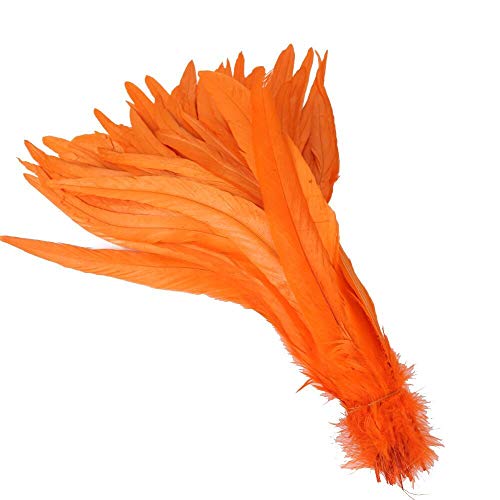 Yalulu 20 Stück 30-35 cm Größere Natur Feder Hahn Feder Fasan Hahnfeder Federn zum Basteln Kopfschmuck Schmucksfedern DIY (Orange) von Yalulu