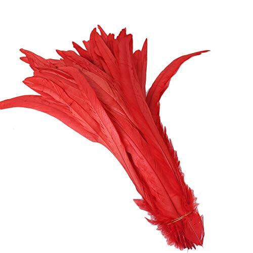 Yalulu 20 Stück 30-35 cm Größere Natur Feder Hahn Feder Fasan Hahnfeder Federn zum Basteln Kopfschmuck Schmucksfedern DIY (Rot) von Yalulu