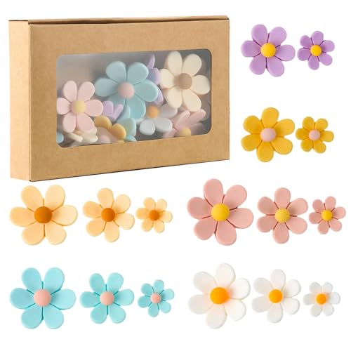 Yamobi 16 Stück Blumen Basteln, Blumen Charms, Mini Harz Blume Deko Bunt Gänseblümchen Set, Künstliche Harz Blume für DIY Decoration Telefonhülle Yamobi 16 Stück Blumen Basteln, Blumen Charms, Mini Harz Blume Deko Bunt Gänseblümchen Set, Künstliche Harz Blume für DIY Decoration Telefonhülle von Yamobi