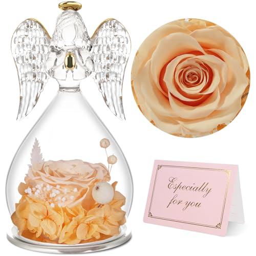 Yamonic Ewige Rose Engel Geschenke für Frauen,Engel Figur Geschenke für Mama,Ewige Rose im Glas Geschenke für Oma,Schutzengel Geschenk Weihnachten,Geburtstagsgeschenk für Frauen, Muttertagsgeschenke Yamonic Ewige Rose Engel Geschenke für Frauen,Engel Figur Geschenke für Mama,Ewige Rose im Glas Geschenke für Oma,Schutzengel Geschenk Weihnachten,Geburtstagsgeschenk für Frauen, Muttertagsgeschenke von Yamonic
