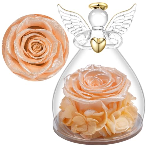 Yamonic Ewige Rose Engel Geschenke für Mama,Ewige Rose im Glas Engel Figur Geschenke für Frauen,Engel mit Rose Geburtstagsgeschenk für Frauen,Oma Geschenk,Schutzengel Weihnachten Muttertagsgeschenk Yamonic Ewige Rose Engel Geschenke für Mama,Ewige Rose im Glas Engel Figur Geschenke für Frauen,Engel mit Rose Geburtstagsgeschenk für Frauen,Oma Geschenk,Schutzengel Weihnachten Muttertagsgeschenk von Yamonic