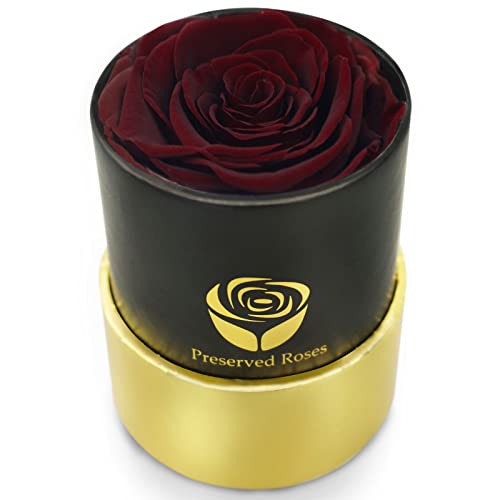 Yamonic echte Rosen in Einer Box, Rosenbox-Geschenke für sie, handgemachte Rosen, die 2 bis 3 Jahre halten, Geburtstags Valentinstag Jubiläum Geschenke für Frauen (schwarz Box Weinrot Rosen) von Yamonic