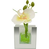 POCOline Vase klar Glas B/H/L: ca. 4x9x8,5 cm von Pocoline