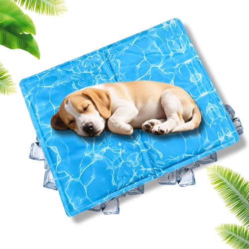 Yanghad Kühlmatte Hund Katze Kühldecke 65x50cm,Kühlmatte Hunde Katzen Ungiftig Gel für Klein Haustiere, Wasserdicht Hundekühlmatte, Selbstkühlende Kühlkissen für Katzen, Hunde von Yanghad