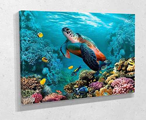 Yangxiaolei Akustikbild Meeresschildkröte, tropische Meereslandschaft Kunstdruck modern Wandbilder XXL Wanddekoration Design Wand Bild 40x60cm(15.7x23.6inch) Ungerahmt von Yangxiaolei