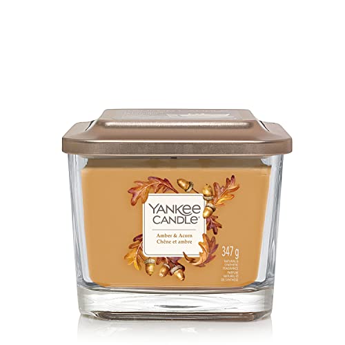 Yankee Candle Amber und Acorn Duftkerze, Glas, Braun, Mittel, 347 von Yankee Candle