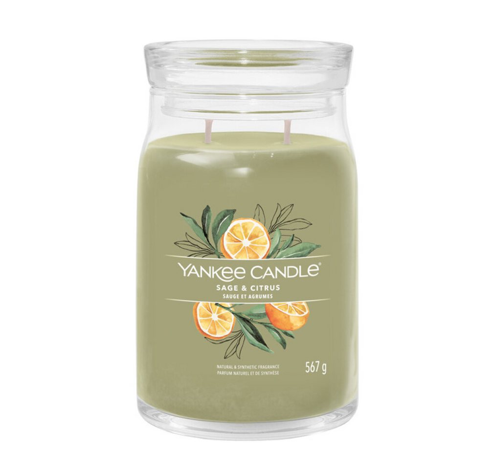 Yankee Candle Duftkerze Aromatic candle Signature large glass Sage & Citrus 567 g von Yankee Candle