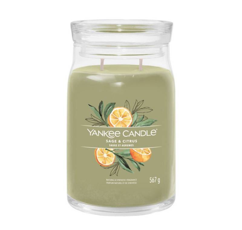 Yankee Candle Duftkerze Aromatic candle Signature large glass Sage & Citrus 567 g Yankee Candle Duftkerze Aromatic candle Signature large glass Sage & Citrus 567 g von Yankee Candle