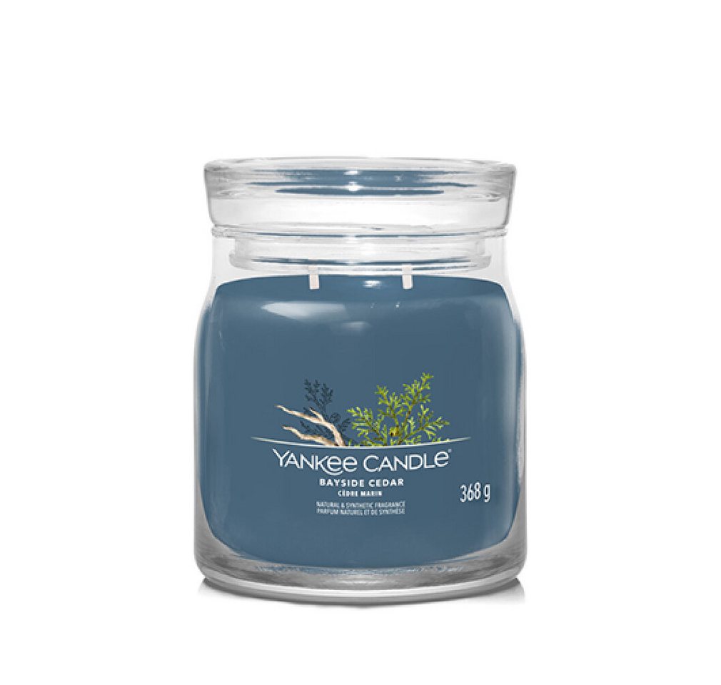 Yankee Candle Duftkerze Bayside Cedar Signatur Kerze Medium 368 g Yankee Candle Duftkerze Bayside Cedar Signatur Kerze Medium 368 g von Yankee Candle